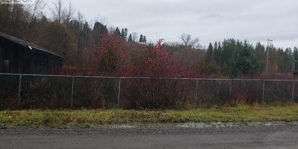 5104 PARK AVENUE Terrace Photo 3 5104 PARK AVENUE Terrace Photo 3